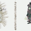 2012_Rituelle_Vernetzung_Saremba_Fothen