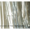 2016_Licht_Schatten_JA_2