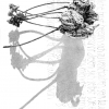 Fothen_Heinz_Peter_Fragile_Kuefi