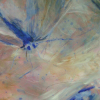 Sanwald_Sigrid_Fragile_Kuefi