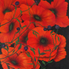 Anita Raisch: Roter Mohn, Öl auf Leinwand, 100 x 80 cm