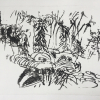 Susanne Gayer: Kurpark