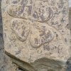 kuefi_pestalozzi_4