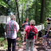 Albrecht Weckmann: Wald zeichnen
