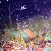 Andrea Schloder: Ohne Titel, Color-Fotografie, 30 × 40 cm