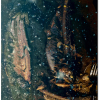 Wolfgang Strähler: Forelle blau, Fotografie, gedruckt auf Alu-Dibond, 75 x 50 cm