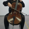 Elina Singer