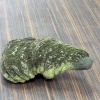 Auf Du und Du mit der Natur: Skulptur von Claudia Dietz