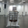 Blick in die Städtische Galerie Filderstadt mit den ausgestellten Kunstwerken von Annette Czopf und Claudia Dietz