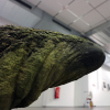 Claudia Dietz' Sandsteinskulptur mit Moos
