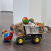 KueFi-Beyond-Fun-4