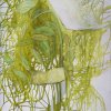 Margot Markt: Summertime, Mischtechnik, 100 x 70 cm